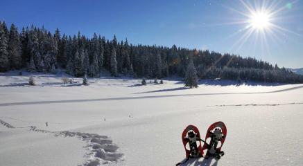 Randonnée accompagnée en raquettes : 