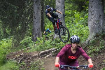 Piste de descente VTT du Bois de la Motte