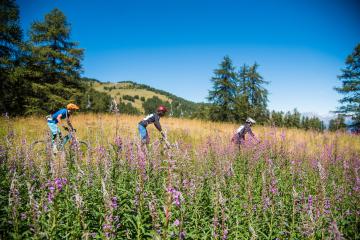 Parcours VAE - CHEMIN DU SOLEIL