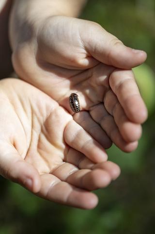 Activité montagne enfant 4-7 ans : Les p'tites bêtes