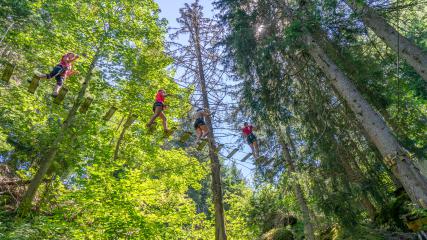 Valmo'Branch Parcours Aventure adultes et enfants