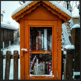 Boîte à livres