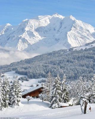 Rando - Journée surprise : Découverte d'un massif environnant avec son Mont-Blanc en toile de fond