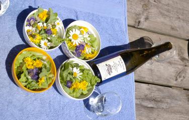 Randonnée De la nature à l'assiette, la flore autrement