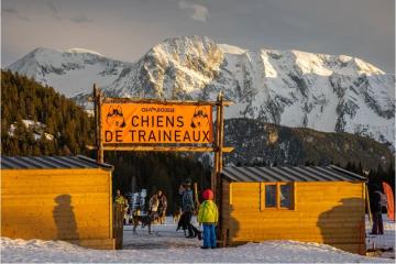 Baptême en chiens de traîneau