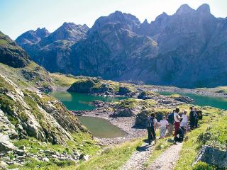 Grande faune des montagnes