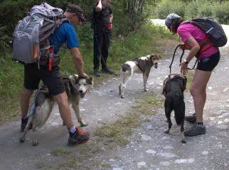 Balade en duo avec un chien