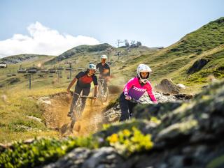 Trank's - Downhill