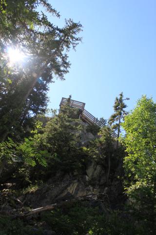 Sentiers et belvédère du bois de la Glière