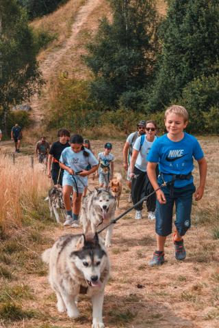 Journée cani rando, randonnée pédestre avec des chiens spéciale groupes