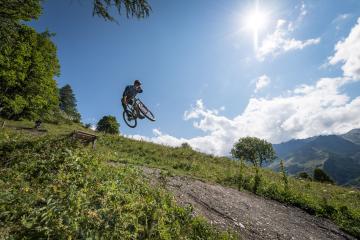 The Wood (28) - Piste de descente VTT