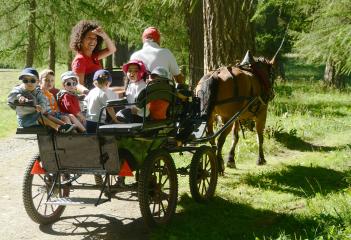 Promenade en calèche à cheval