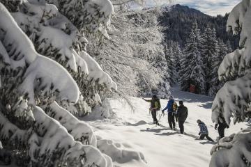 Itinéraire raquette à neige : Pré Gaudet