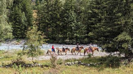 Balades en main avec les poneys