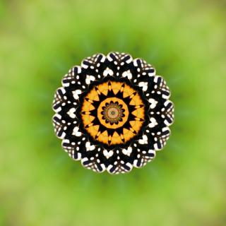 Atelier Mandala Sacré avec Christine - Lundi 28 juillet