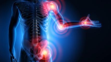 Atelier Spécial Rhumatismes et Arthrose avec Isabelle - Lundi 05 mai