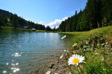 Le lac du Plan dessert