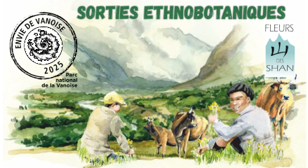 Sortie ethnobotanique