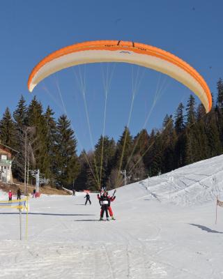 Baptême en parapente