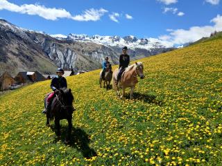 Randonnées à cheval et cours d'équitation