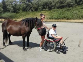 Médiation animale et accueil de personnes en situation de handicap - Les Crins Sauvages