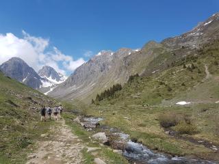 Itinéraire de randonnée pédestre : Sentier Refuge de la Balme
