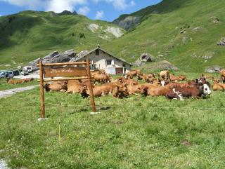 Itinéraire de randonnée pédestre : Sentier du Plateau de Plan Pichu