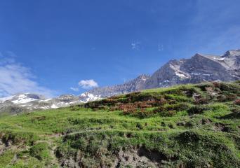 Le refuge de la Glière et le col de la Grassaz