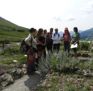Usages traditionnels des plantes en Haute Maurienne