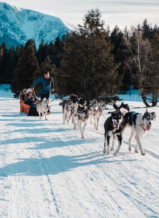Baptême en chiens de traîneau