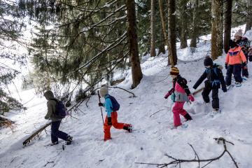 Sortie raquettes trappeurs