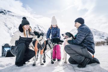 Chien de traîneau - Evolution 2