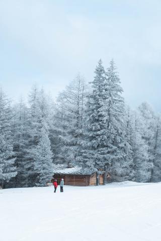 Itinéraire piéton raquettes : Les sources