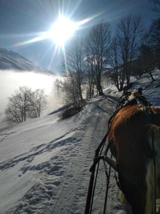 Promenade en traîneau à cheval