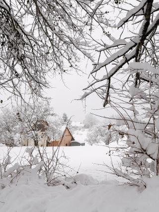Visite guidée de la station-village de Thollon-les-Mémises