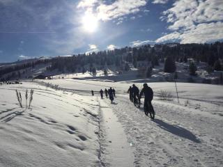 VTT électrique : sortie privatisée