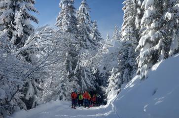 Itinéraire piéton / raquettes à neige - Boucle de la Molière