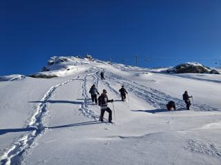 Raquettes découverte | Bureau des Guides x ESF
