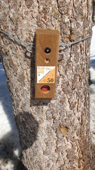 Parcours d'orientation : en raquettes