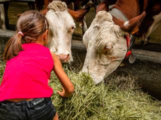 Visite de ferme et atelier beurre