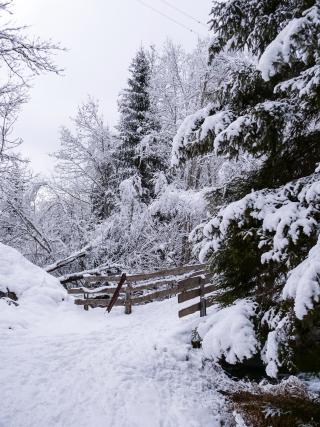 Randonnée hiver : Boucle des Combes