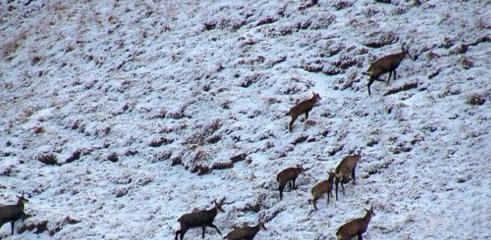 Sortie raquettes : petites histoires d'une vallée glaciaire