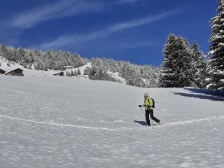 Les balcons sud de Bisanne