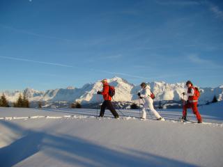 Sortie raquettes : Balade panoramique sur les crêtes - Christomet