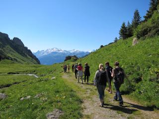 L'alpage des Rossets : Randonnée-découverte