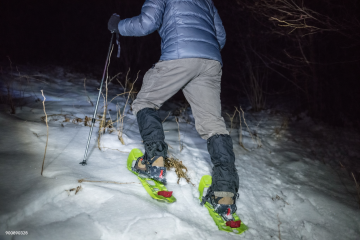 Randonnée accompagnée en raquettes 