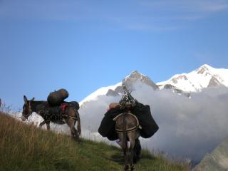 Le Tour du Mont Joly 5 jours avec un âne