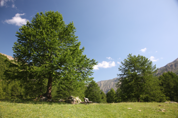 Boucle du Grand Vallon - Itinéraire VTT n°7