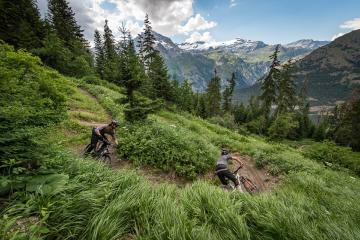 VTT Enduro : Blue Cheese