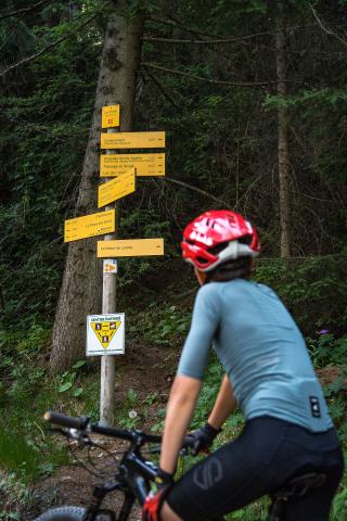 VTT Cross-country : Les Sarrazins